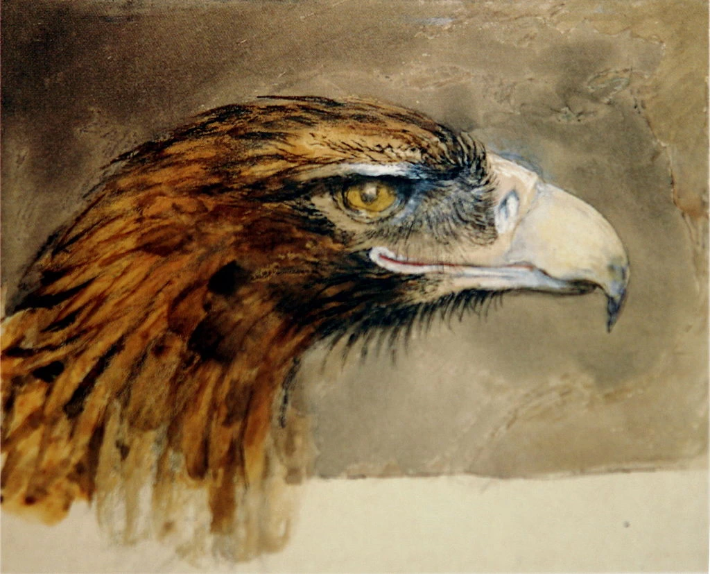Testa d'aquila, 1870